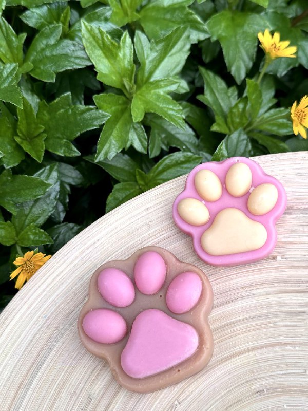 Pet Soap ( Paws )